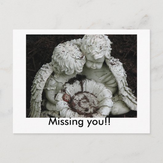 Vous avez manqué ! ! Carte postale (Devant)