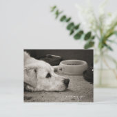 Vous avez manqué - Carte postale (Debout devant)