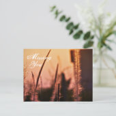 Vous avez manqué - cartes postales (Debout devant)