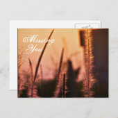 Vous avez manqué - cartes postales (Devant / Derrière)