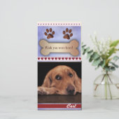 Vous avez manqué un modèle photo de chien (Debout devant)