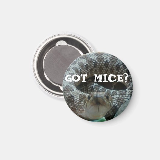 Vous avez Mice ? Aimant de nez (Recto/Verso)