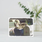 Vous avez une carte postale (Debout devant)