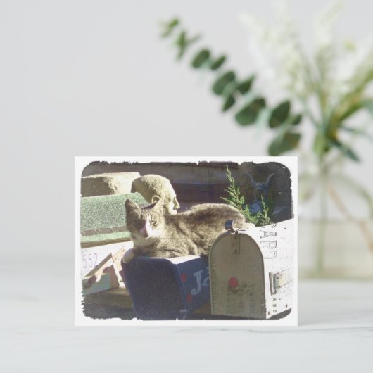 Vous avez une carte postale (Debout devant)