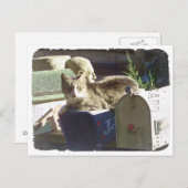 Vous avez une carte postale (Devant / Derrière)