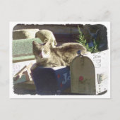 Vous avez une carte postale (Devant)