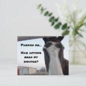 Vous avez vu mes nuances ? Carte postale (Debout devant)