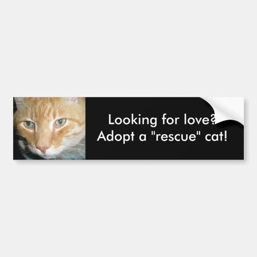 Vous cherchez l'amour? Adoptez un Sticker Secourt  (Devant)