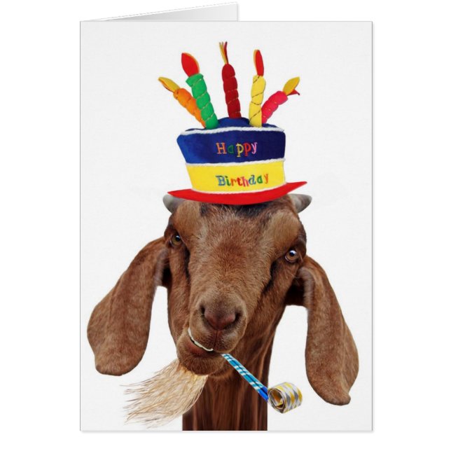 Vous chèvre d'Ol (Devant)