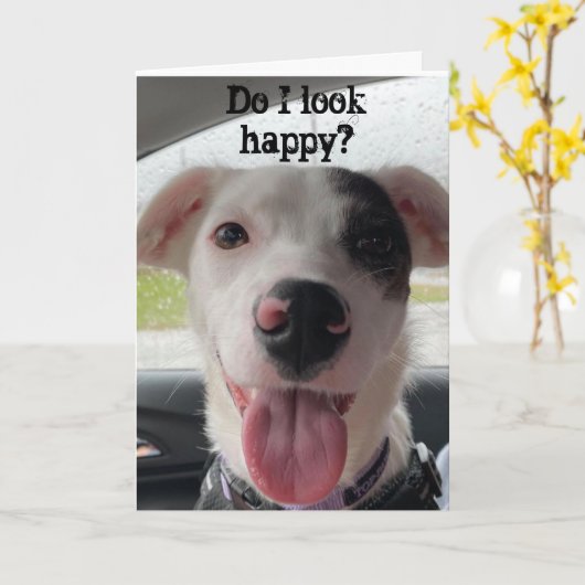 VOUS ÊTES **70*** ME REND HEUREUX DE LA CARTE DE C (Fleur jaune)