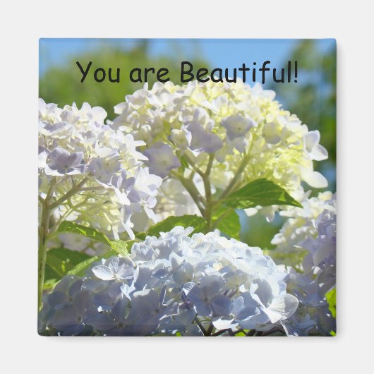 Vous êtes Beau ! aimant Fleurs d'Hydrangea ensolei (Devant)