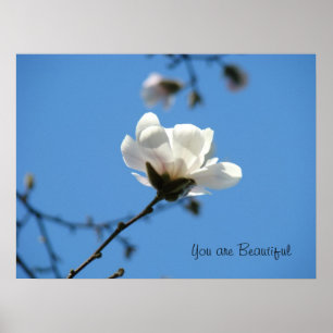 Vous êtes belle affiche art Ciel Bleu Magnolia