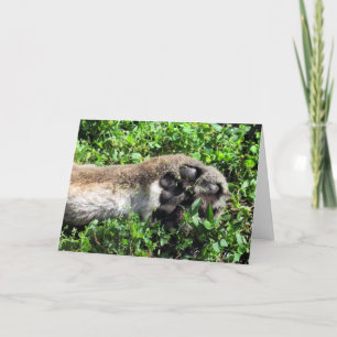 Vous êtes complètement paw-some Carte de remerciem
