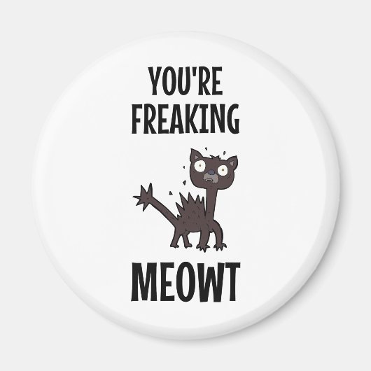 Vous êtes en train de freiner Meowt Magnet (Devant)