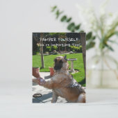 Vous êtes important trop Allemand Shepherd Carte p (Debout devant)