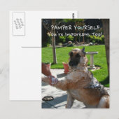 Vous êtes important trop Allemand Shepherd Carte p (Devant / Derrière)