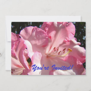 Vous êtes invités ! À la fête ! invitations