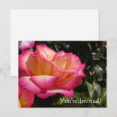 Vous êtes invités ! Carte postale d'invitation (Devant / Derrière)