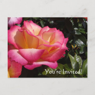 Vous êtes invités ! Carte postale d'invitation