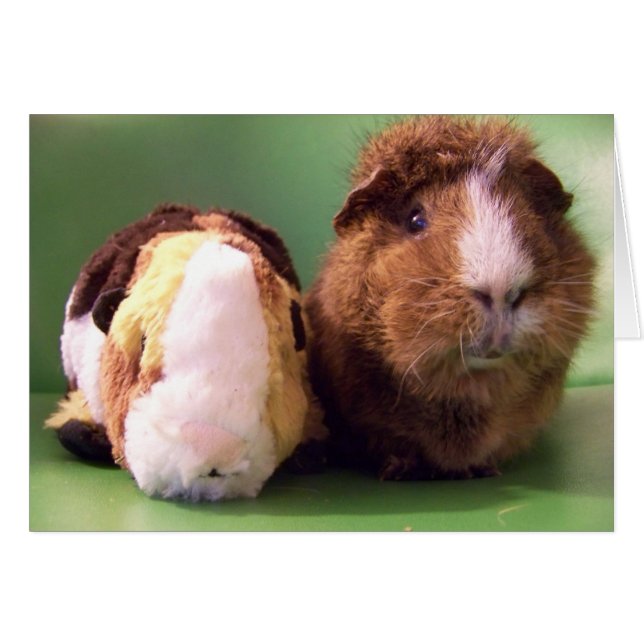 Vous êtes la vraie carte de vente (Devant horizontal)