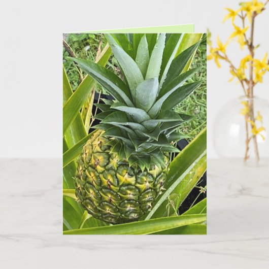 Vous êtes l'ananas de ma carte de voeux oculaire (Fleur jaune)