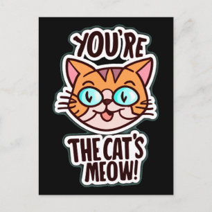 Vous êtes le miaulement du chat Carte postale