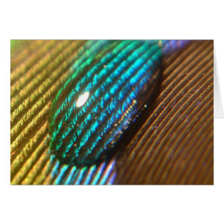 Vous êtes mon ARC-EN-CIEL