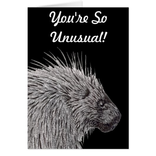 Vous êtes si inhabituel Porcupine (Devant)