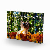 Vous êtes si parfaits | Kitten Photo | Bloc acryli (Droite)