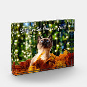 Vous êtes si parfaits | Kitten Photo | Bloc acryli (Gauche)