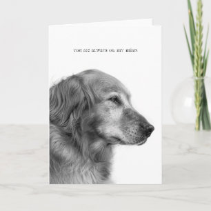 Vous êtes toujours sur ma carte mentale