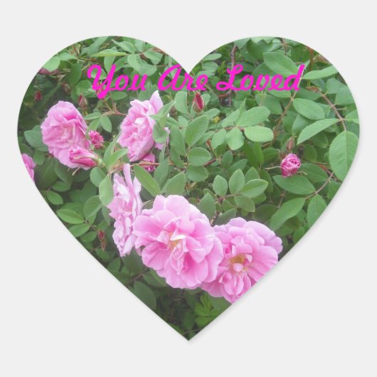 Vous Êtes Un Autocollant Rose Aimé (Devant)