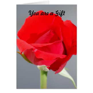 Vous êtes un cadeau