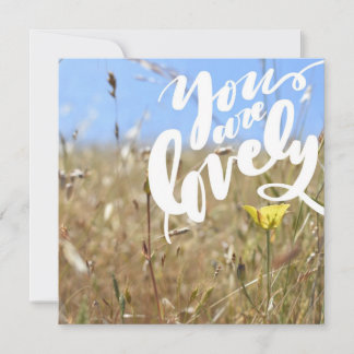 Vous Êtes Une Belle Carte