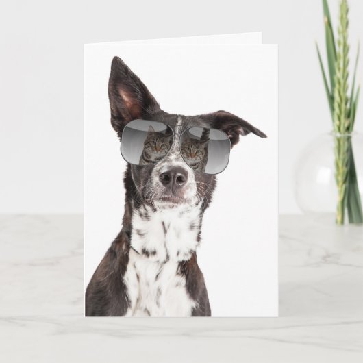 Vous êtes une carte d'amitié pour les chats Cool (Devant)