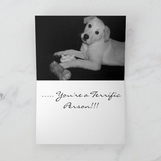 Vous êtes une carte formidable ! ! ! (Intérieur)