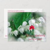 Vous êtes une carte postale unique (Devant / Derrière)