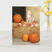 Vous manquant chaton de Halloween et carte de (Fleur jaune)
