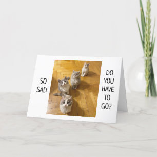 **VOUS MANQUEREZ** DE DIRE UNE BONNE CARTE