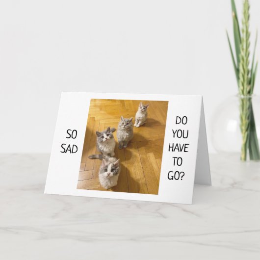 **VOUS MANQUEREZ** DE DIRE UNE BONNE CARTE (Devant)