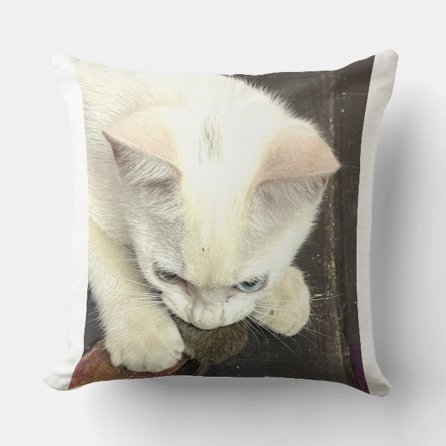 Vous m'avez eu!, Coussin de lancer drôle d'anniver (Recto)