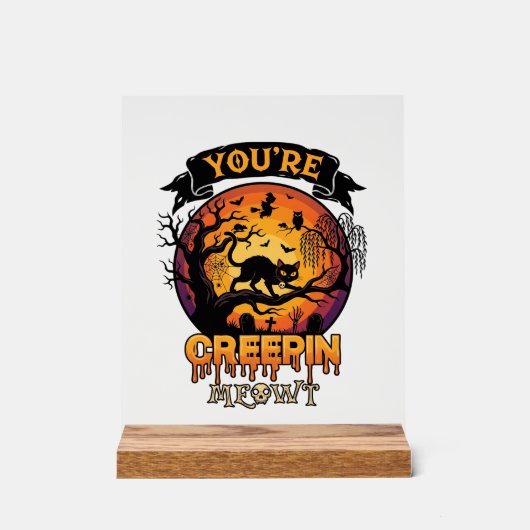 Vous Me Faites Frissonner Halloween Chat Noir Plei (Recto)