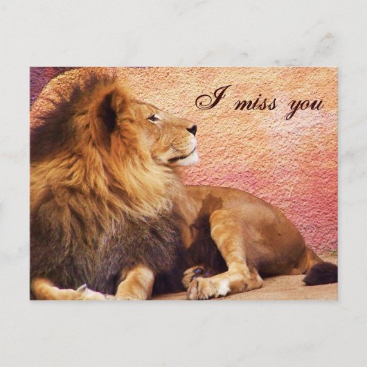 Vous me manquez_ Carte postale (Devant)