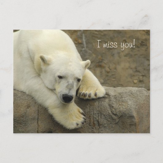 Vous me manquez - Carte postale Ours Polaire (Devant)