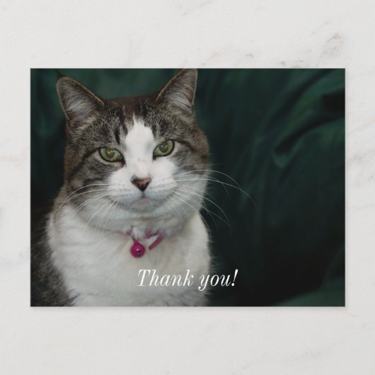 Vous me regardez, je vous regarde Carte postale de (Devant)