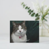 Vous me regardez, je vous regarde Carte postale de (Debout devant)