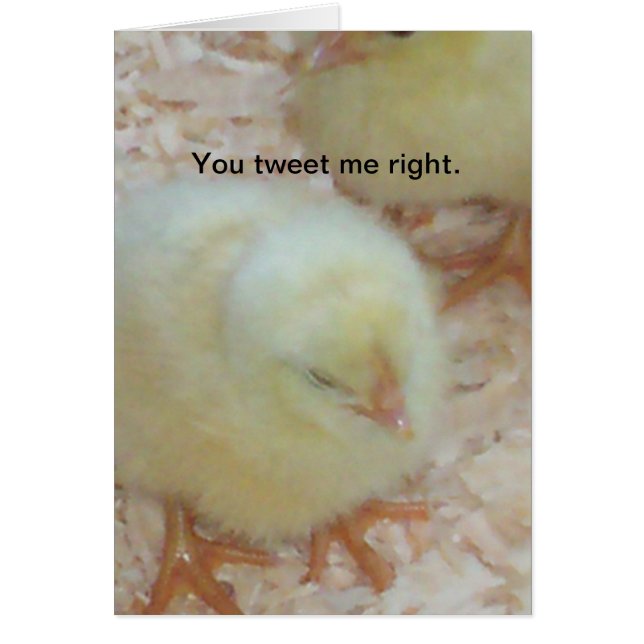 Vous me tweetez correctement. (Devant)