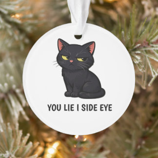 Vous mentez, je louche" Citation drôle de chat noi