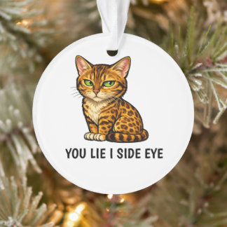 Vous mentez, je louche drôle Citation de chat Beng