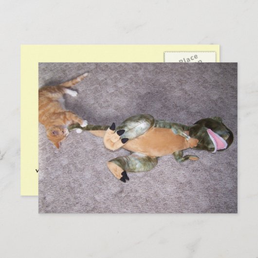 vous ne me faites pas peur Carte postale (Devant / Derrière)